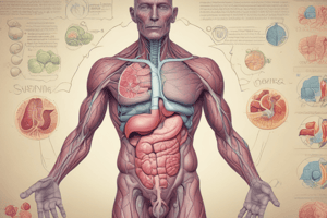 GI System Part 1