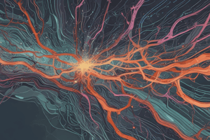 Neurotransmission Steps