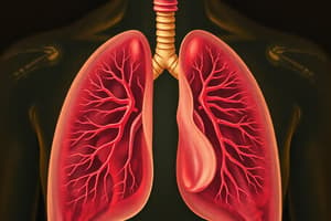 Respiratory System Quiz