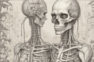 Human Tissue Types and Functions