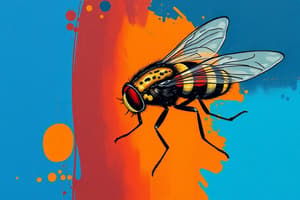 Insect Control Methods: Tsetse and Warble Flies