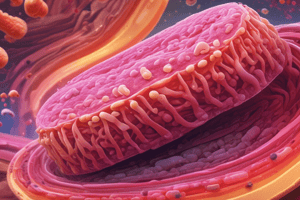 Cellulitis - Soft Tissue Infection Quiz