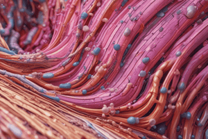 Hair Follicle Anatomy