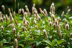 Compréhension des Causes et de la Nature