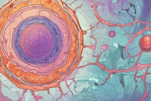 Cell Differentiation + Epigenetics + Phenotype