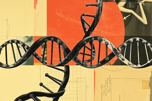 Structure and Function of DNA