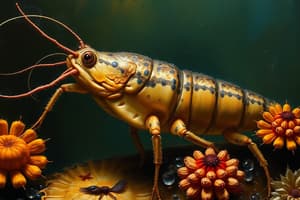 Invertebrates Overview Quiz