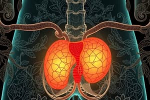 L4 Development of the ureter and urinary (P1 Mid)