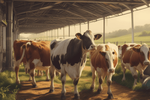 Dairy Production: Life Cycle of a Replacement Heifer