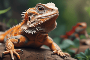 Pet Lizards and Their Diet