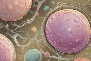 Biology: Yeast Fermentation