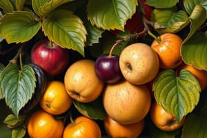 Biology: God's Living Creation - Fruits