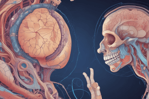 Respiratory System Development Quiz