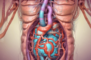 MBBS Year 1 Gastrointestinal Lectures Quiz