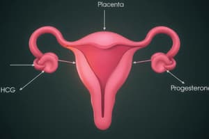 Early Pregnancy and Placental Functions