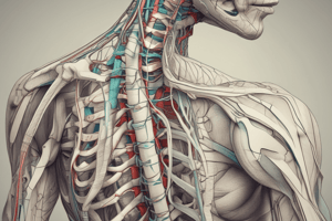 Innervation of Extrinsic Back Muscles and Skin