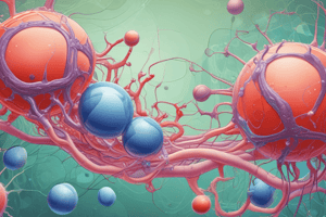 Phospholipid Structure in Cell Membranes