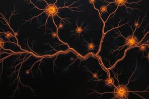 Neurons and Glial Cells