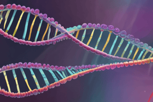 DNA Replication Errors