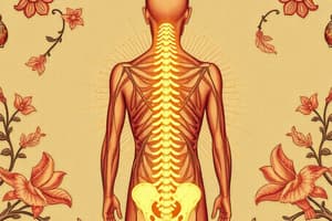 Stanbridge - T4 - TE2 - W2 - Spine & Posture Part 2