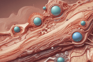 Skin Anatomy: Epidermis and Dermis