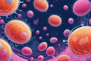 Neisseria Meningitidis Characteristics