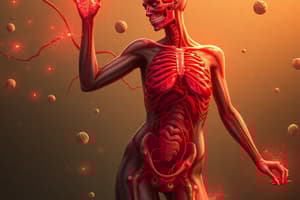 Nierfysiologie: Functionele anatomie van de nieren