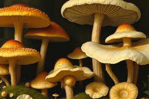 Overview of Fungi and Mycology