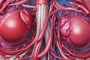 Structures and Functions of the Urinary System Quiz