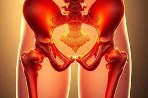 Femoroacetabular Impingement Overview