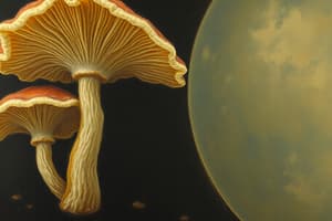 Fungi Morphology and Reproduction