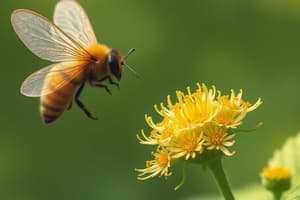 Pollinisation et défense des plantes