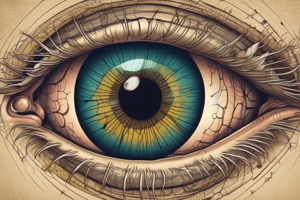 Anatomy of the Eye in Animals