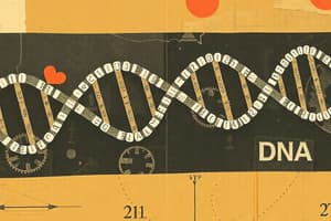 DNA Structure and Function Quiz