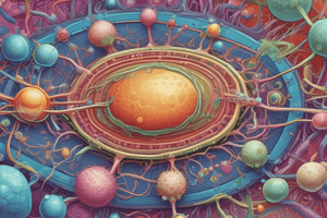 Cell Structure Comparison: Prokaryotes vs Eukaryotes