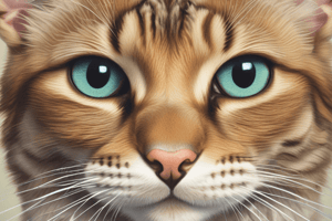 Feline Keratopathy: Understanding Lipid Deposition in Corneal Tissue