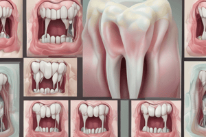 Tooth Development and Cavities