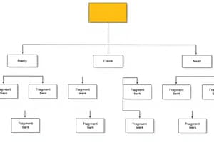 Organigramme et Structure Organisationnelle