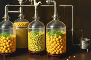 Understanding Fermenters in Biotechnology