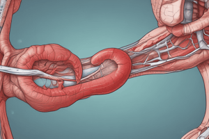 Cardiovascular Assessment: Tracheal Deviation and Jugular Venous Pressure