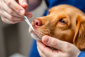 Veterinary Nursing: Nail Trimming