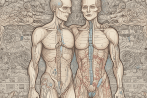 Endocrine System Debate Prep