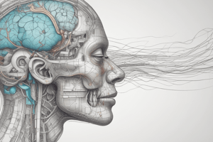 Olfactory Pathways: Course and Structure