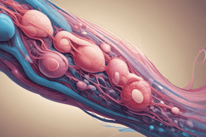 Reproductive Modes and Human Reproductive System