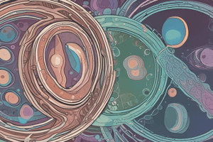 Biology Chapter 19: The Reproductive System