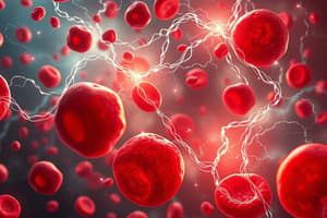 Glucose Metabolism in Red Blood Cells