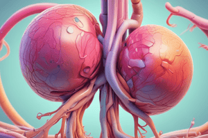 Urinary System and Urinalysis Quiz