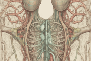 Lymphatic System Quiz