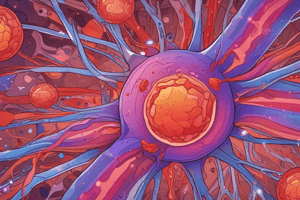 Inflammatory Reactions and Characteristics