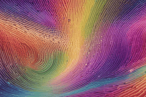 Diffraction and Interference Overview